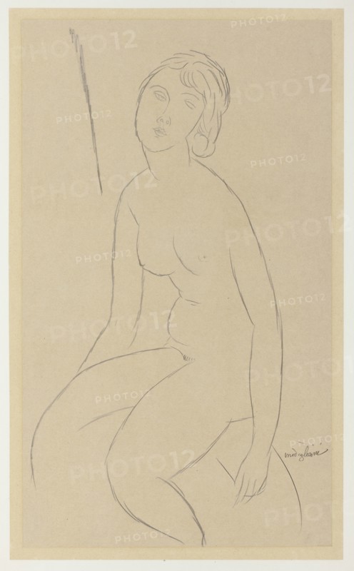 Seated Nude, 1918. Creator: Amadeo Modigliani.