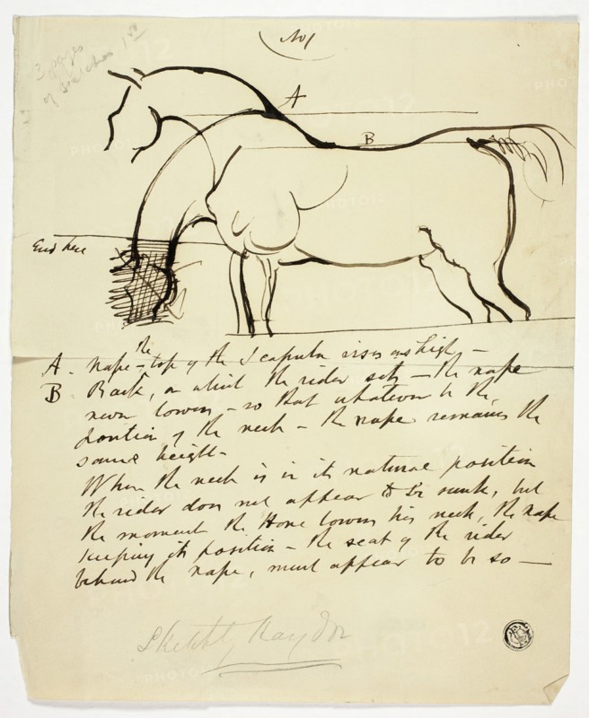 Sketch of Horse with Notations, n.d. Creator: Benjamin Robert Haydon.