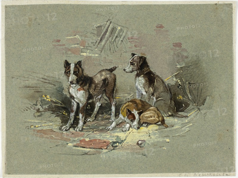 Three Dogs in an Alley, 1825-1877. Creator: Charles B Newhouse.