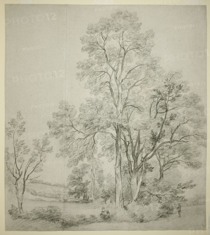 A Stand of Elm Trees (recto); A Study of East Bergholt with the Church (verso), c. 1802. Creator: John Constable.