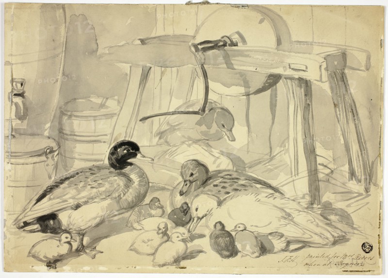 Ducks, Ducklings and Grindstone, n.d. Creator: John Frederick Herring I.