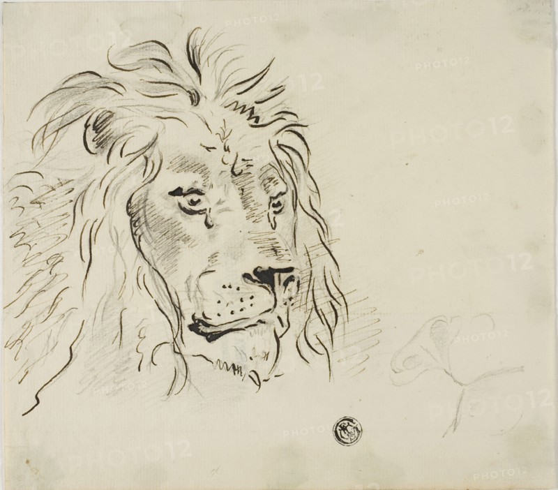 Lion's Head, n.d. Creator: Sawrey Gilpin.