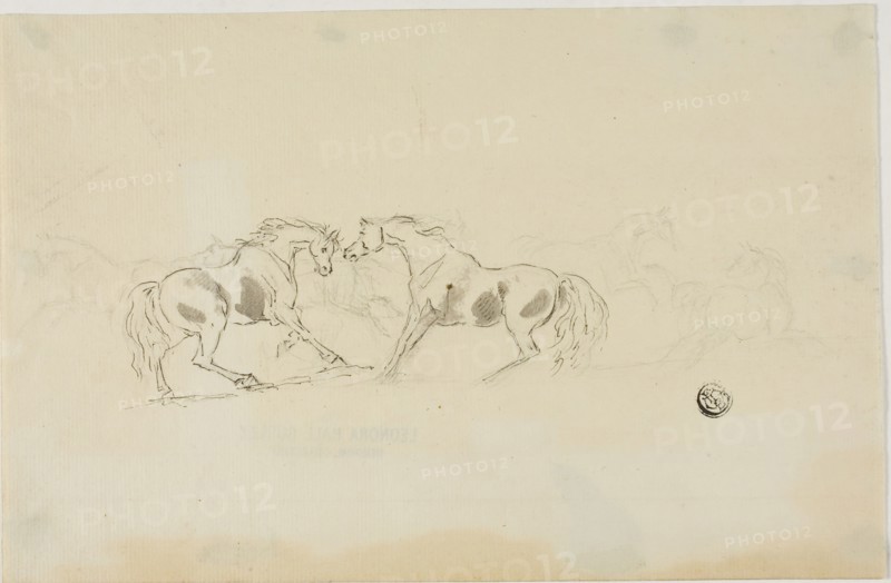 Horses Fighting, n.d. Creator: Sawrey Gilpin.