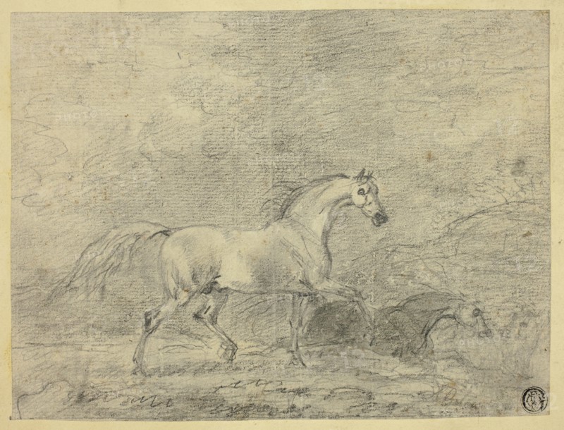 Horses, n.d. Creator: Sawrey Gilpin.