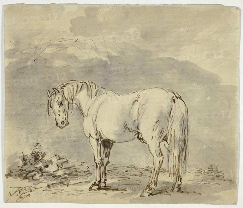Standing Horse with Head Turned, n.d. Creator: Sawrey Gilpin.