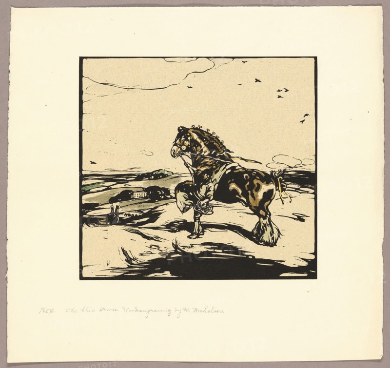 The Shire Horse, n.d. Creator: William Nicholson.