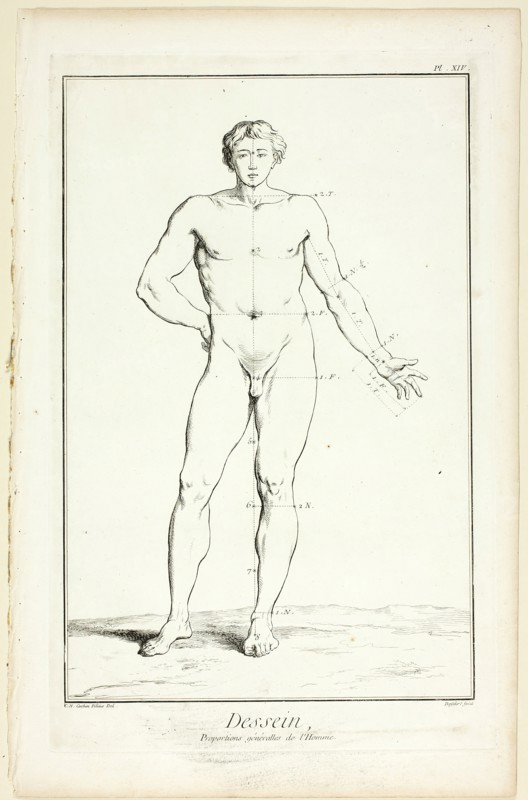 Design: General Proportions of the Male, from Encyclopédie, 1762/77. Creator: A. J. Defehrt.