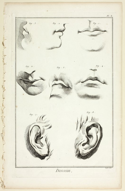 Design: Facial Anatomy from Encyclopédie, 1762/77. Creator: A. J. Defehrt.
