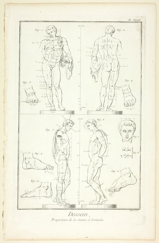 Design: Proportions of the Antinoüs Statue, from Encyclopédie, 1762/77. Creator: A. J. Defehrt.