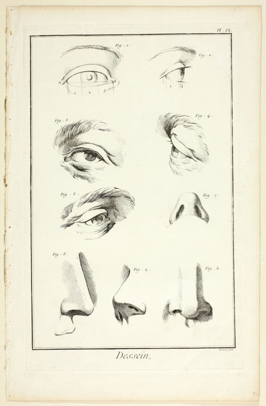 Design: Facial Anatomy from Encyclopédie, 1762/77. Creator: Benoit-Louis Prevost.