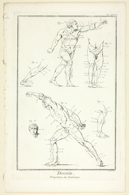 Design: Proportions of the Gladiator, from Encyclopédie, 1762/77. Creator: Benoit-Louis Prevost.