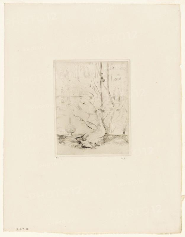 The Goose, 1889. Creator: Berthe Morisot.
