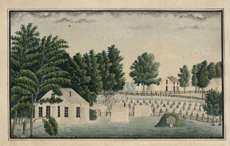 The Artist's Farm and Vineyard, n.d. Creator: Ernst Damitz.