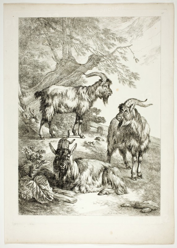 Plate Seventeen of 38 from Oeuvres de J. B. Huet, 1796–99. Creator: Jean Baptiste Marie Huet.