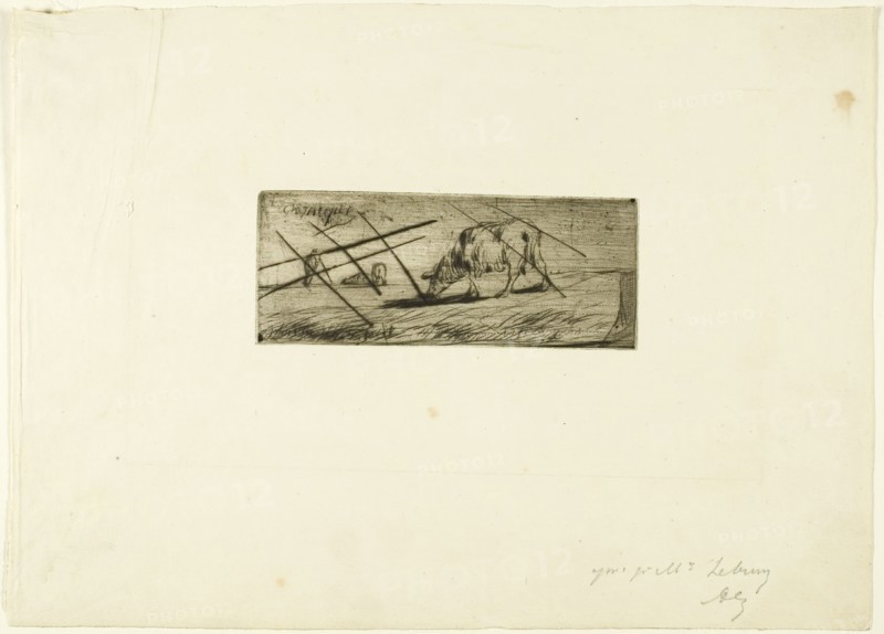 A Sheep Grazing, 1849. Creator: Jean Francois Millet.
