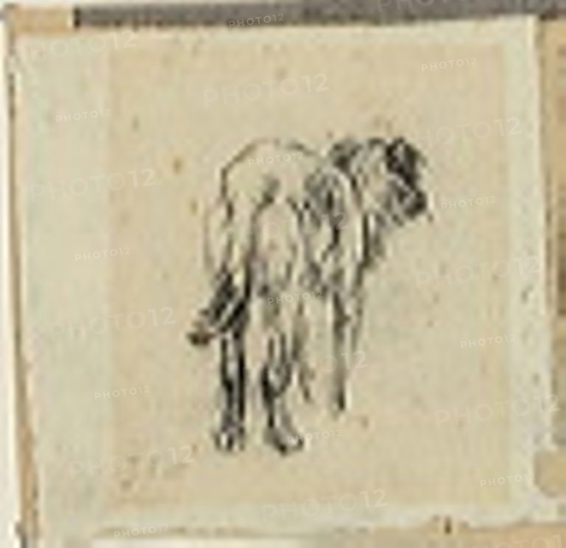 Study of a Dog, n.d. Creator: Jean Francois Millet.