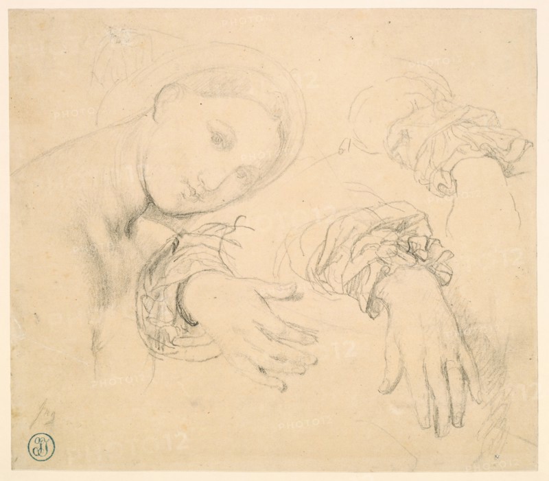 Sheet of Studies with the Head of the Fornarina and Hands of Madame de Senonnes, 1814/16. Creator: Jean-Auguste-Dominique Ingres.