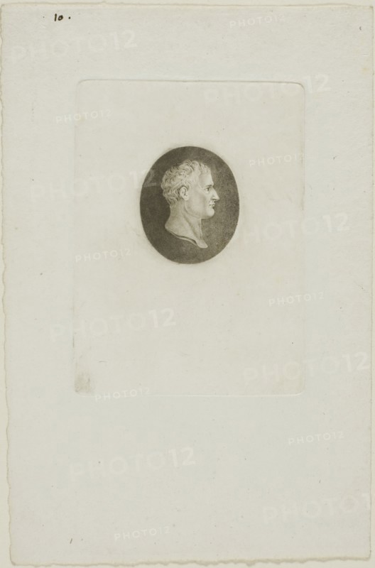 Napoleon, n.d. Creator: Jean-Baptiste de Grateloup.