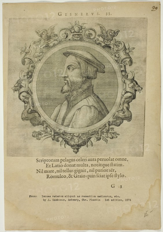 Portrait of Gesnerus, published 1574. Creators: Unknown, Johannes Sambucus.