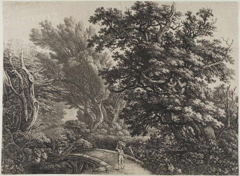 Rustic Bridge in a Tangled Wood, n.d. Creator: Carl Wilhelm Kolbe the elder.