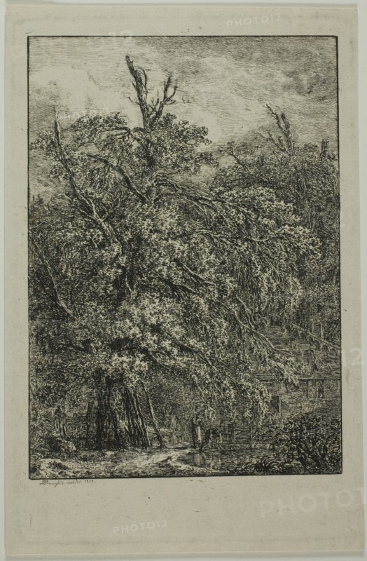 Great Tree, 1809. Creator: Domenico Quaglio II.