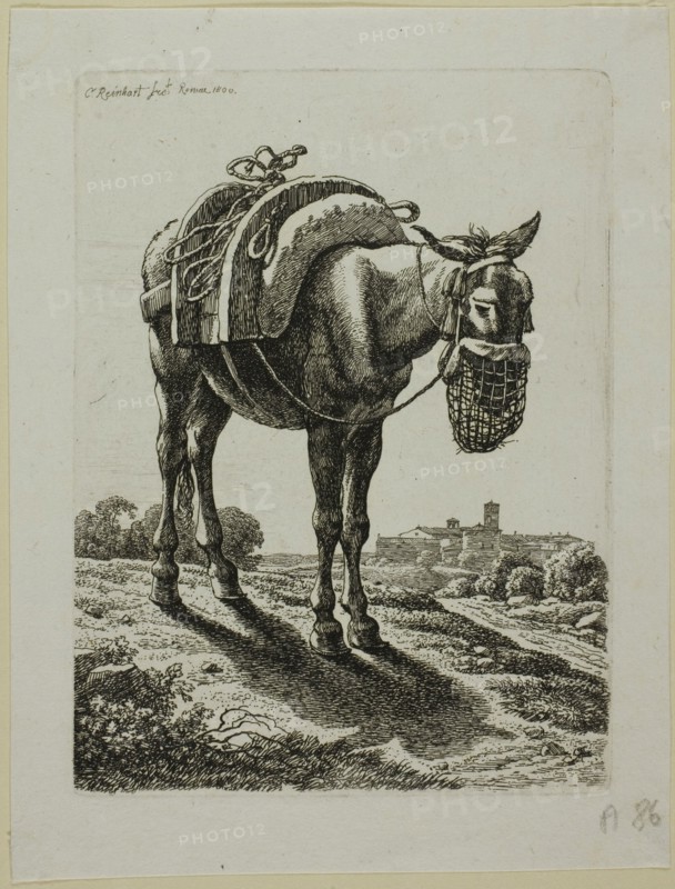 Feeding Mule - Front, from Die Zweite Thierfolge, 1800. Creator: Johann Christian Reinhart.