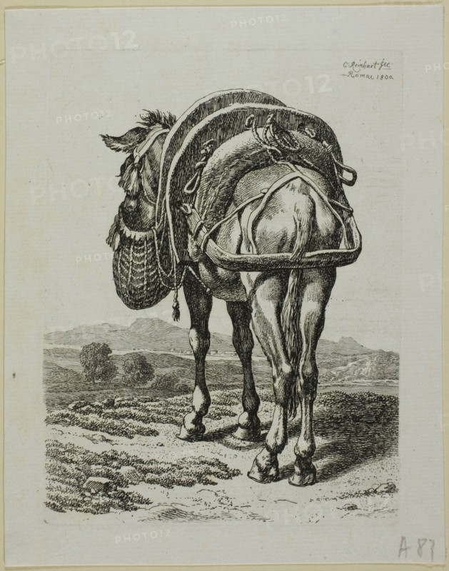 Feeding Mule - Rear, from Die Zweite Thierfolge, 1800. Creator: Johann Christian Reinhart.