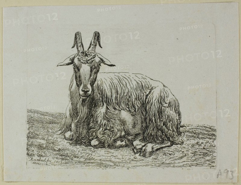 Lying Goat, from Die Zweite Thierfolge, 1800. Creator: Johann Christian Reinhart.