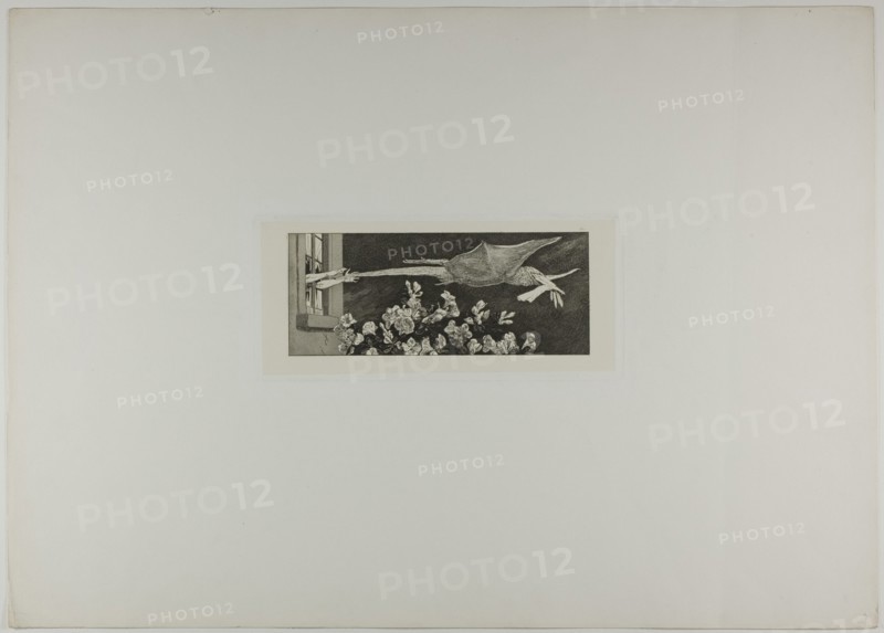 Abduction, plate nine from A Glove, 1881. Creator: Max Klinger.