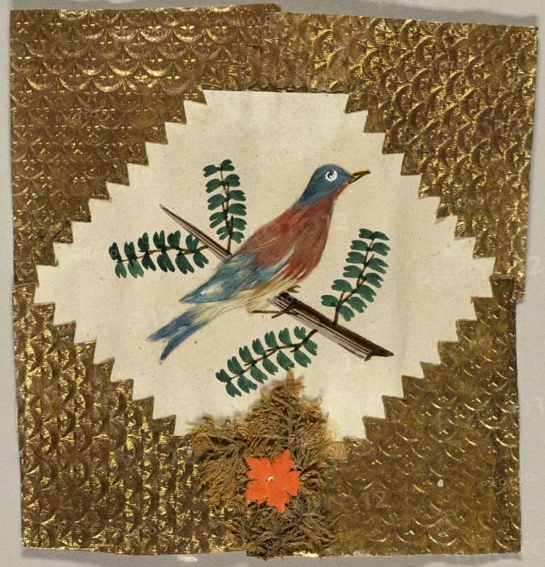 Untitled Valentine (Robin on a Branch), n.d. Creator: Unknown.