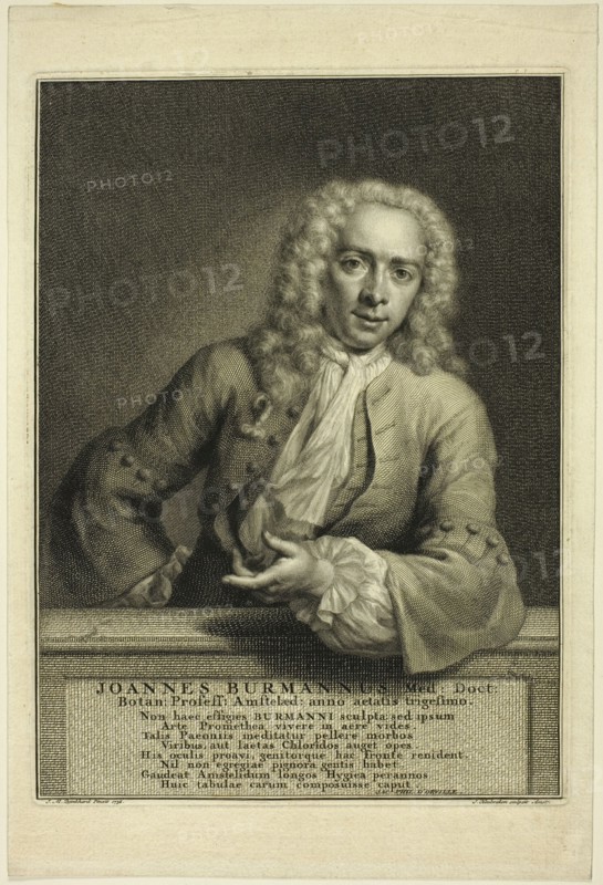 J. Burmannus, n.d. Creator: Jacobus Houbraken.