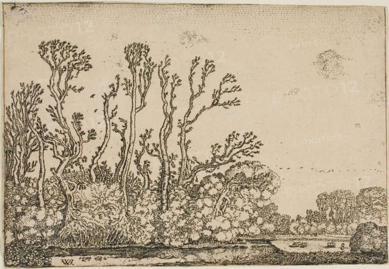 Landscape with Trees, Pond and Sheep, 1621. Creator: Willem Pietersz. Buytewech.