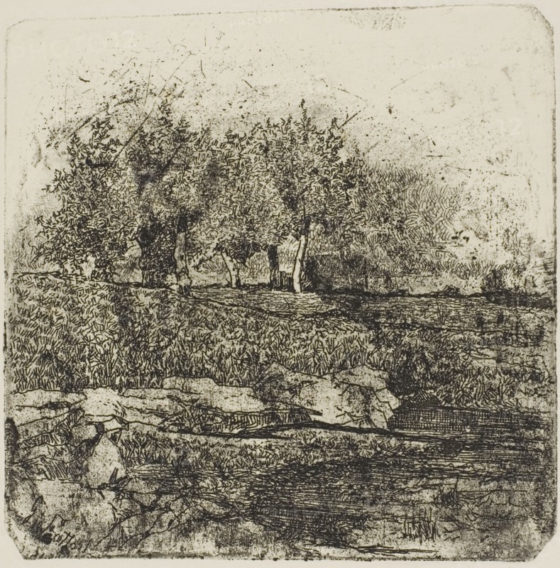 Trees in a Meadow, n.d. Creator: Giovanni Fattori.