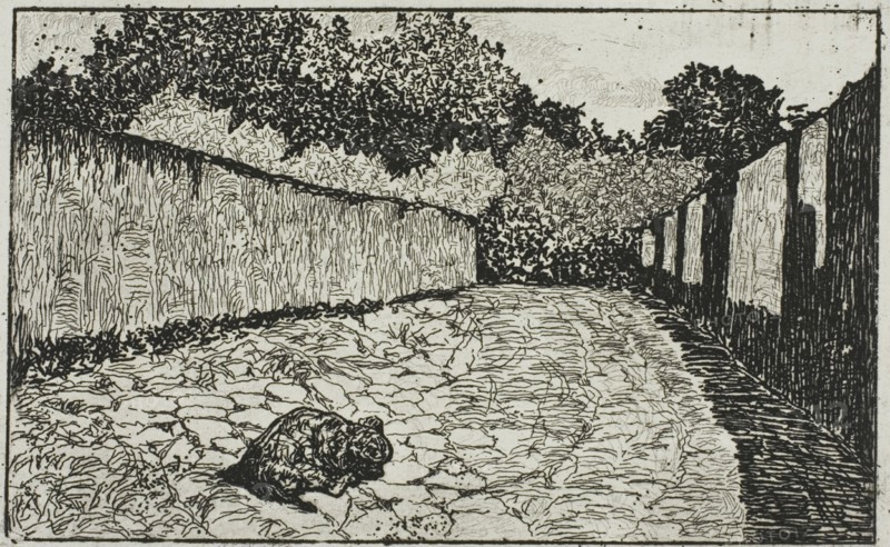 Small Street on the Outskirts of Florence with Puppy, 1870-75. Creator: Giovanni Fattori.