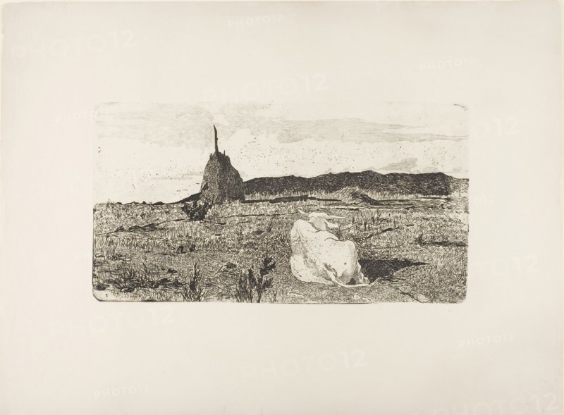 Holy Cow, after 1887. Creator: Giovanni Fattori.