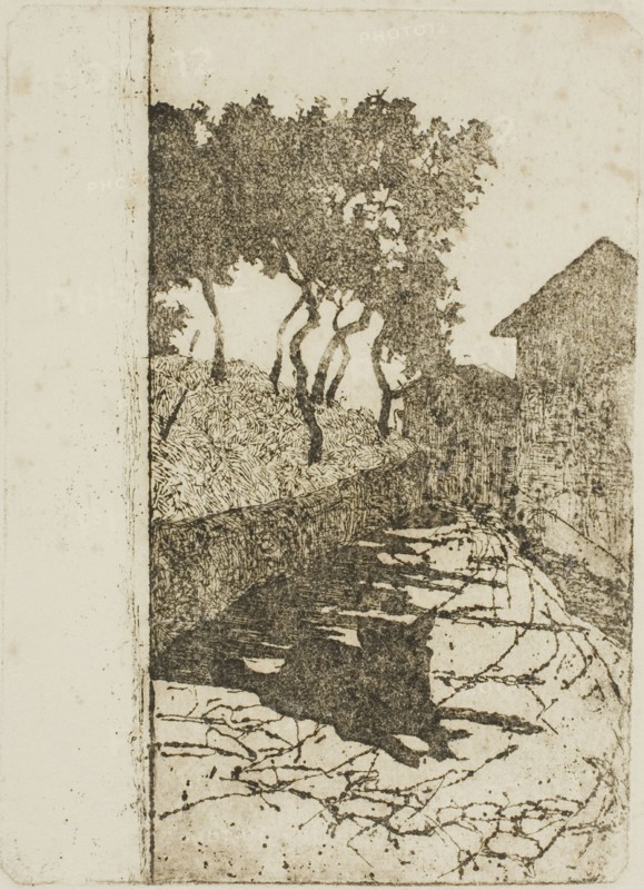 The Black Dog, n.d. Creator: Giovanni Fattori.