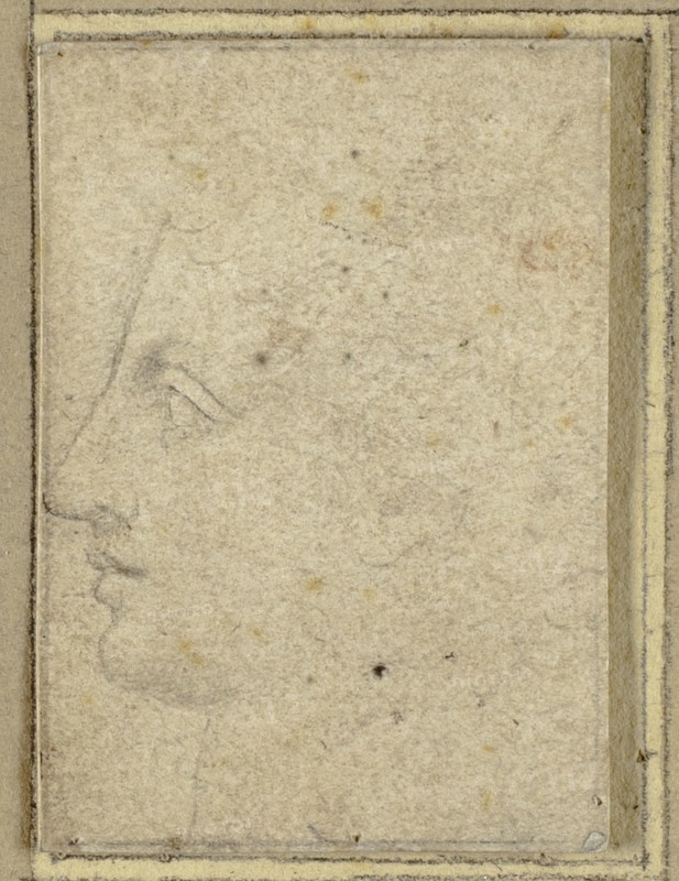 Head of a Youth in Profile to Left, n.d. Creator: Unknown.