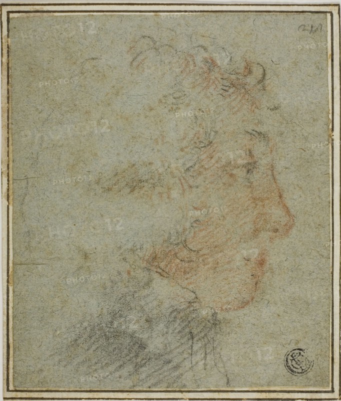 Profile of Young Man to Right, n.d. Creator: Unknown.