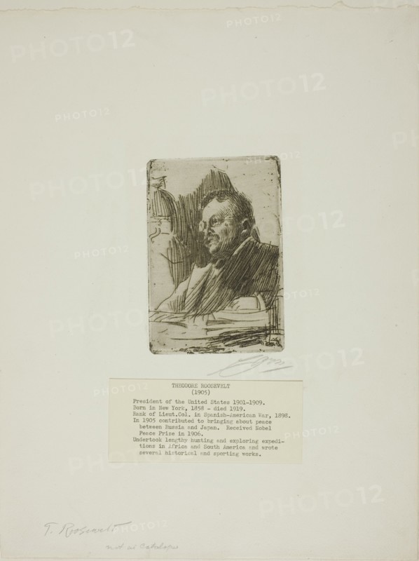 Theodore Roosevelt, 1905. Creator: Anders Leonard Zorn.