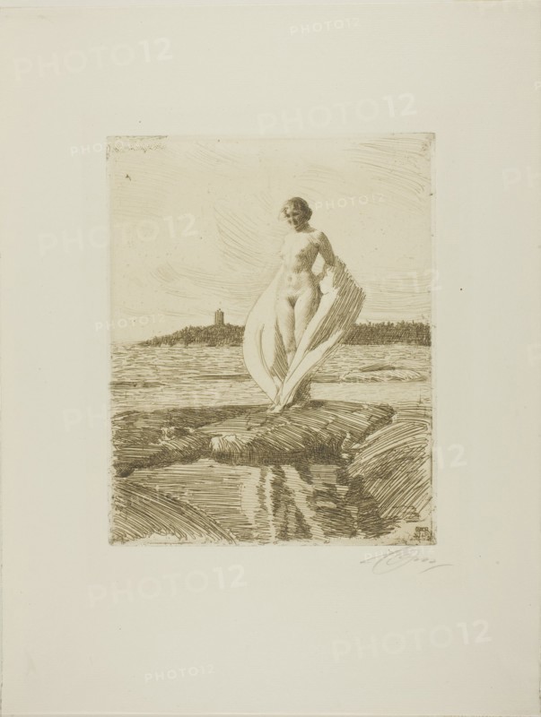 The Swan, 1915. Creator: Anders Leonard Zorn.