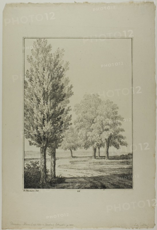 Plate 26 from Blatt Baum und Landschafts Studien, c.1810. Creator: Lorenz Ekemann Alesson.