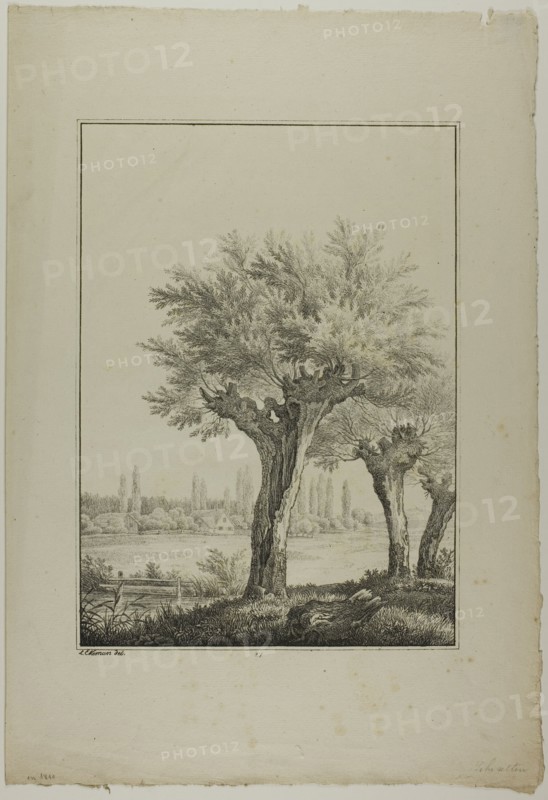 Plate 27 from Blatt Baum und Landschafts Studien, c.1810. Creator: Lorenz Ekemann Alesson.
