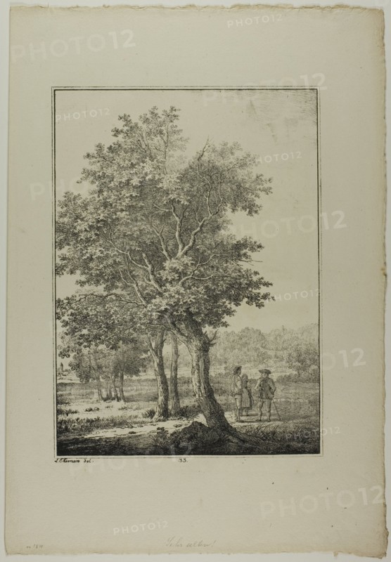 Plate 33 from Blatt Baum und Landschafts Studien, c.1810. Creator: Lorenz Ekemann Alesson.