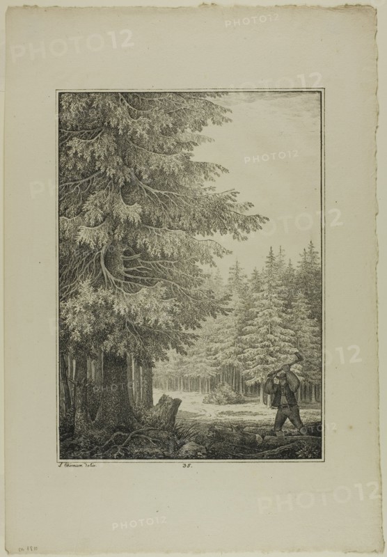 Plate 35 from Blatt Baum und Landschafts Studien, c.1810. Creator: Lorenz Ekemann Alesson.