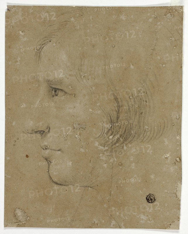 Profile of Male Head to Left, 1700/99. Creator: Unknown.