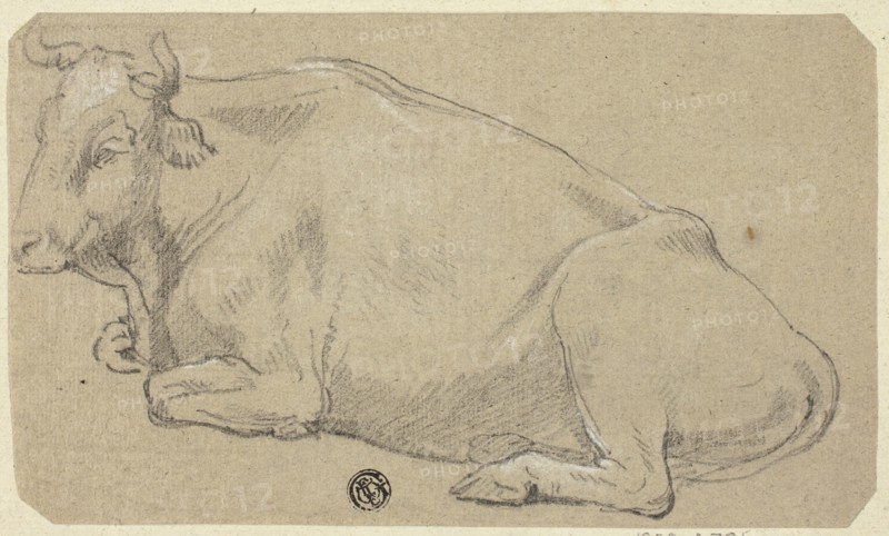 Cow Lying on Haunches (recto); Head of a Woman and Sketch of Horse's Head (verso), n.d. Creator: Unknown.
