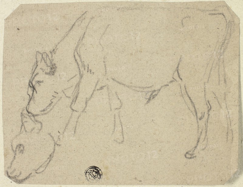 Sketches of Grazing Bull, Cow's Head (recto); Seated Cow in Profile (verso), n.d. Creator: Unknown.