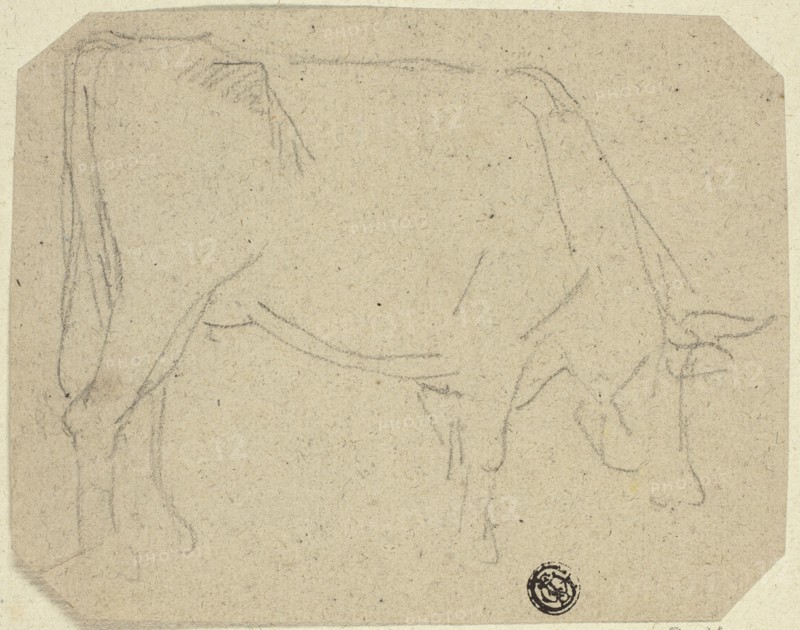 Grazing Cow (Turned to Right) (recto); Hindquarters of a Horse (verso), n.d. Creator: Unknown.
