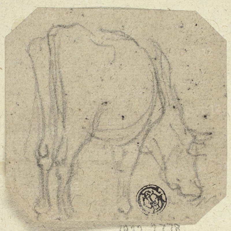 Cow Grazing, n.d. Creator: Unknown.