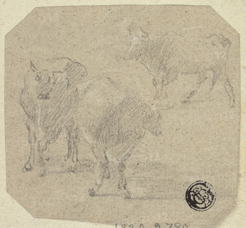 Three Cows, n.d. Creator: Unknown.